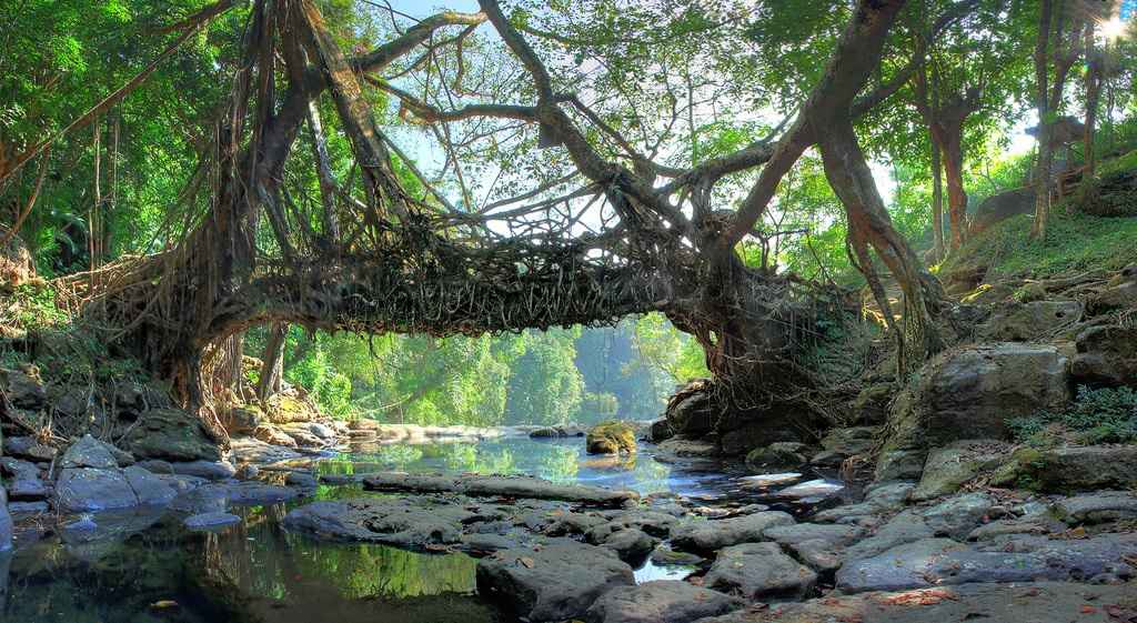 Meghalaya