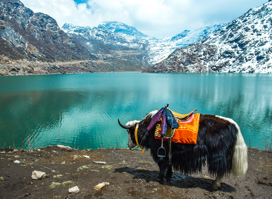 Sikkim