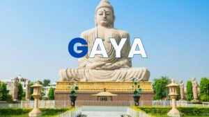 Gaya